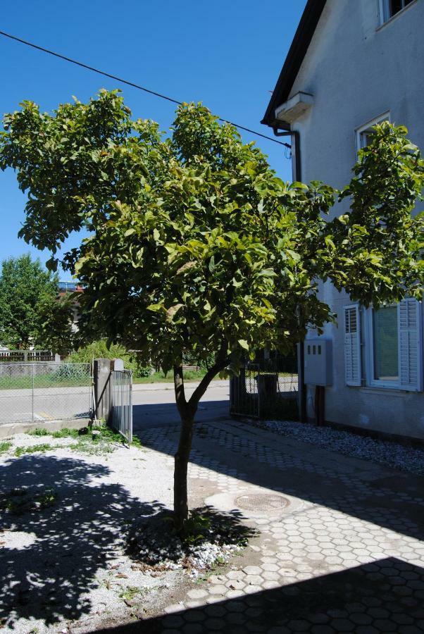 Apartment With Free Parking Ljubljana Extérieur photo